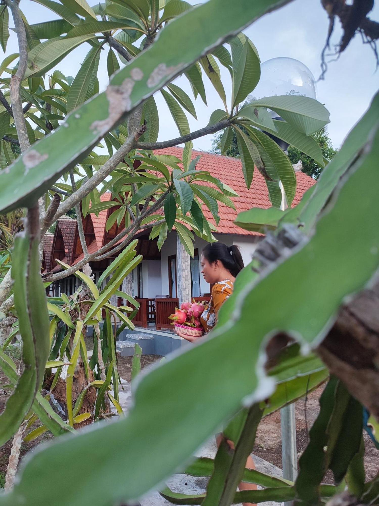 Santhi Guna Bungalow Toyapakeh Esterno foto